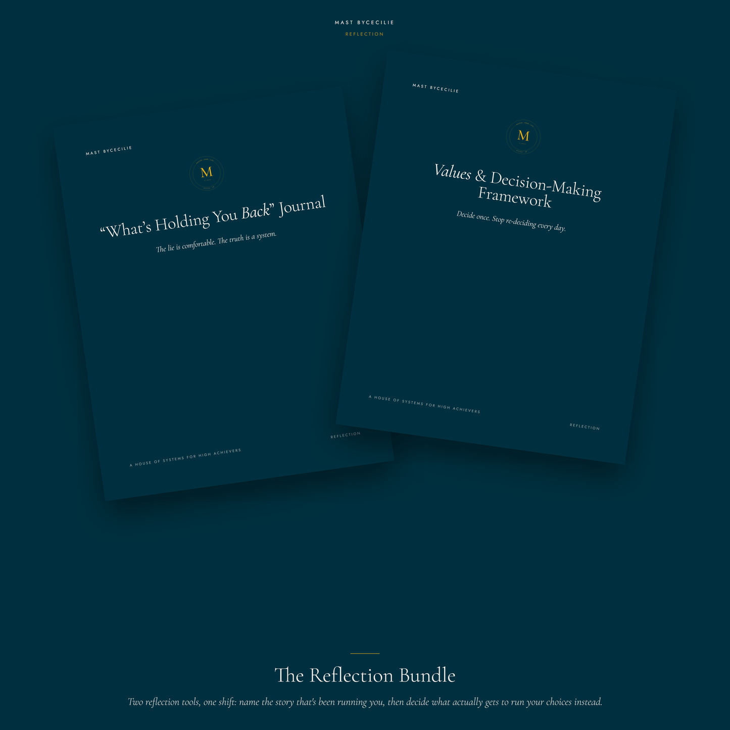 The Reflection Bundle