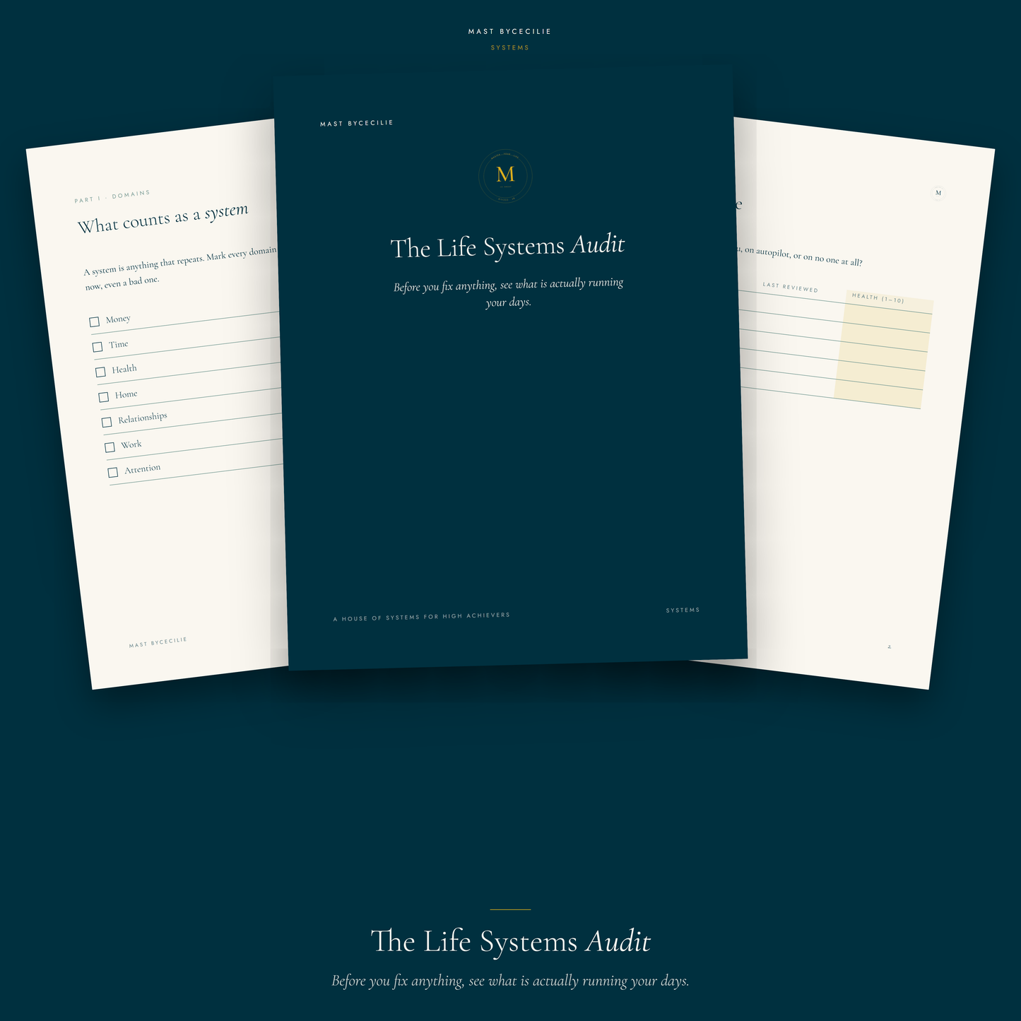 The Life Systems Audit
